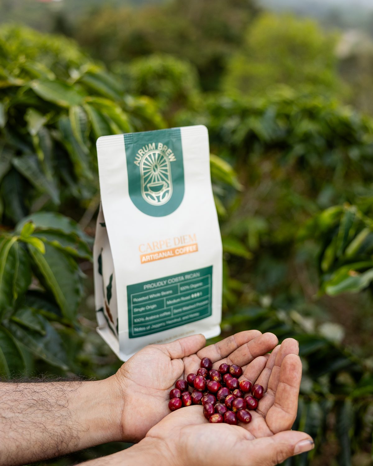 Grown in Costa Rica