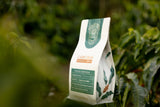 Carpe Diem · Artisanal Coffee