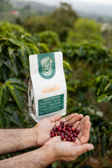 Carpe Diem · Artisanal Coffee