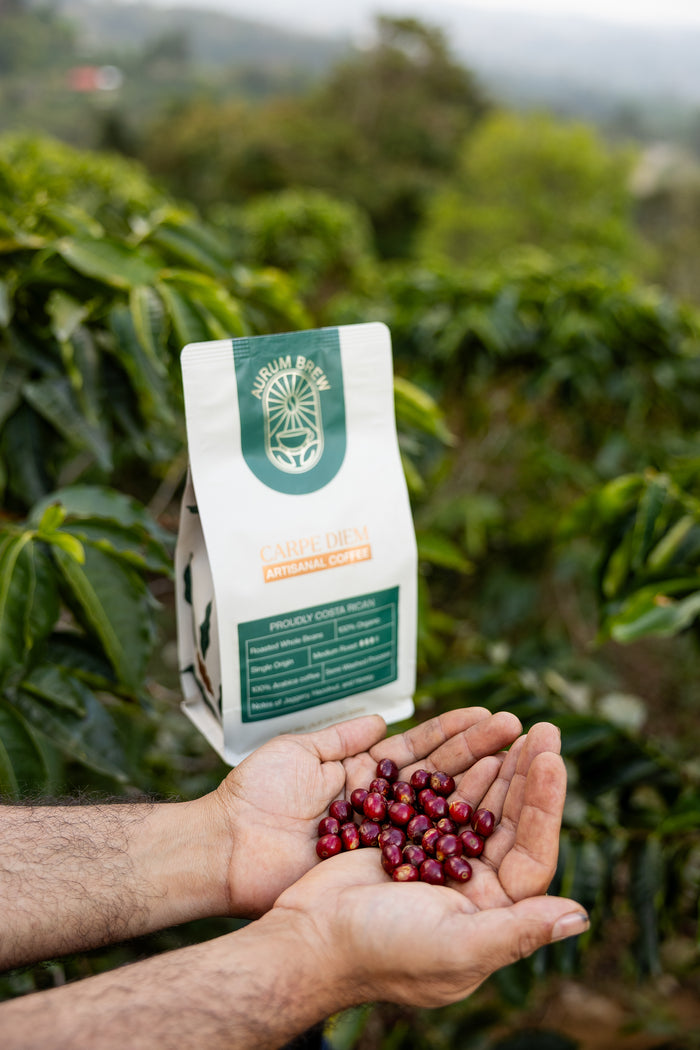 Carpe Diem · Artisanal Coffee