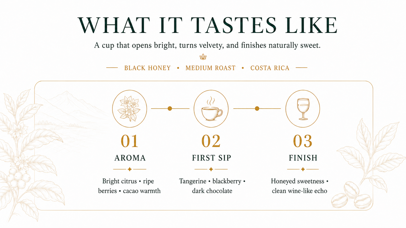 What it tastes like — Aroma: bright citrus, ripe berries, cacao warmth · First Sip: tangerine, blackberry, dark chocolate · Finish: honeyed sweetness, clean wine-like echo