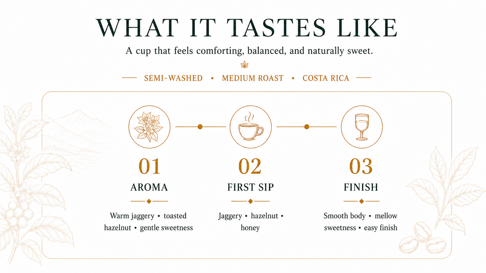 What it tastes like — Aroma: warm jaggery, toasted hazelnut, gentle sweetness · First Sip: jaggery, hazelnut, honey · Finish: smooth body, mellow sweetness, easy finish